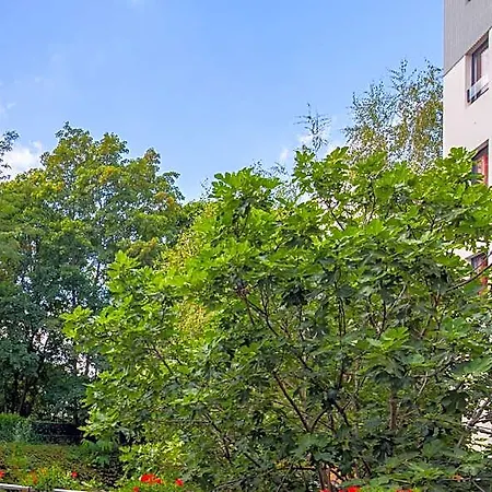 Cis Kellermann 2*