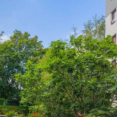 Cis Kellermann Hotel 2*